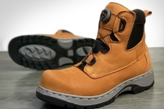 IMG_20260113_113429-1