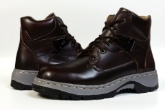 IMG_20260131_100921-1